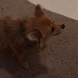 Meet your Posher, Sharon